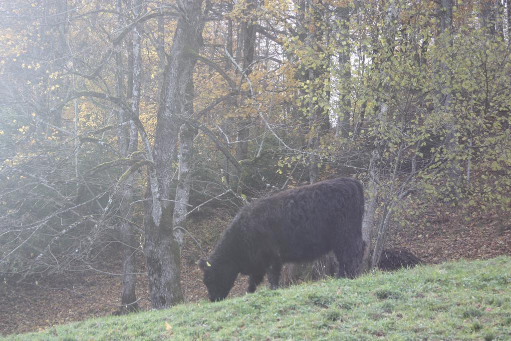 Alpenferienwohnungen Wiesenlehen Berchtesgaden Dış mekan fotoğraf